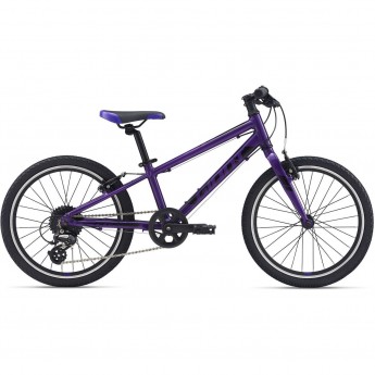 Велосипед детский GIANT ARX 20 (2021) 20 purple Велосипед детский GIANT ARX 20 (2021) 20 purple
